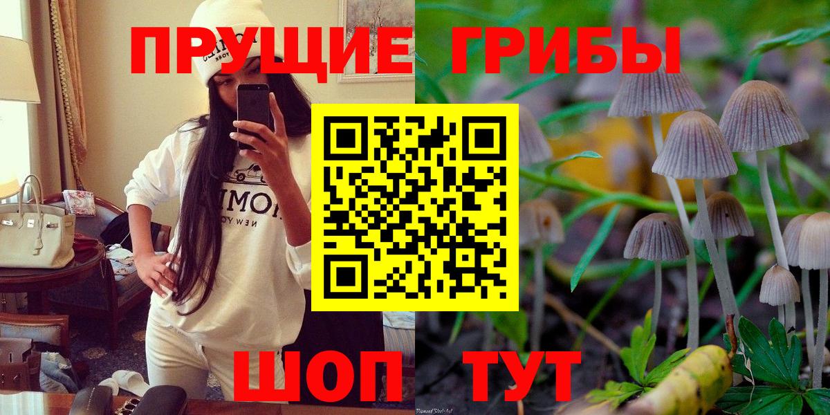 Приморско-Ахтарск  Псилоцибиновые грибы GOLDEN TEACHER  Галлюциногенные грибы мицелий  Вход с VPN 